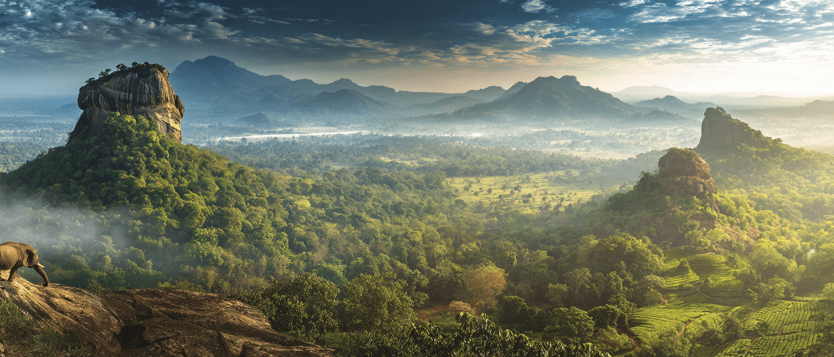 Essence Of SRI Lanka — slide 4